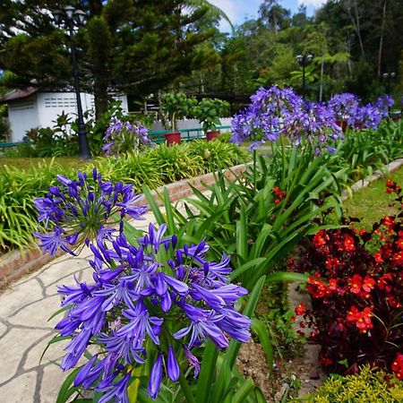 Spot On 89751 Bed Station Guest House Tanah Rata Exterior photo