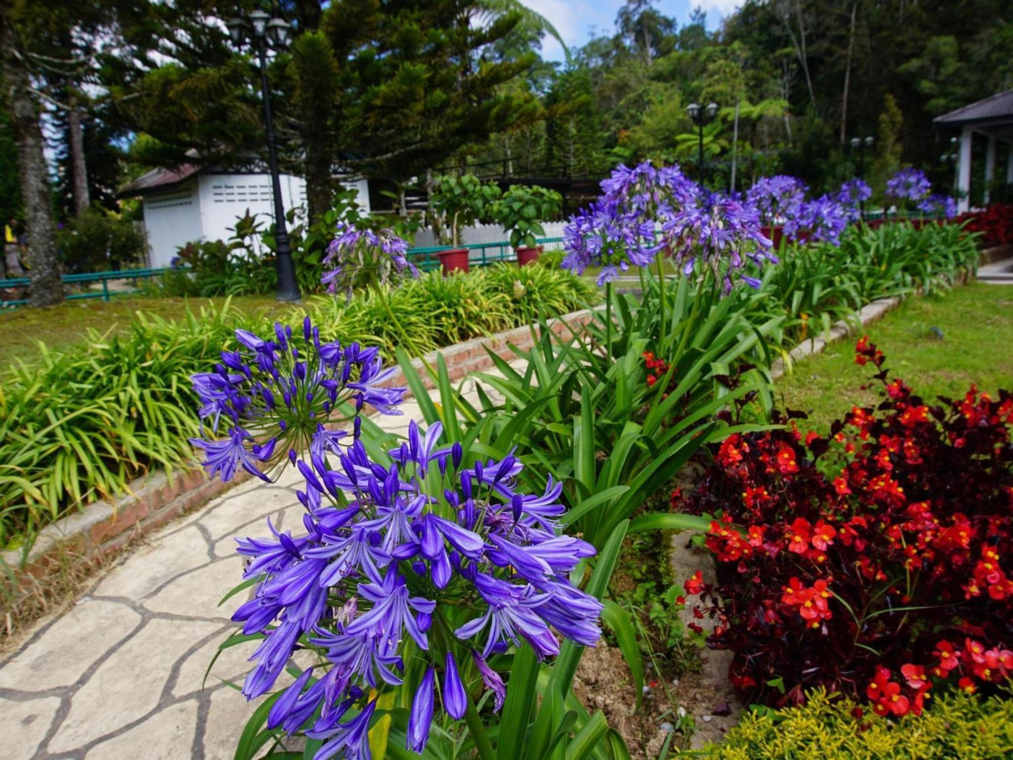 Spot On 89751 Bed Station Guest House Tanah Rata Exterior photo