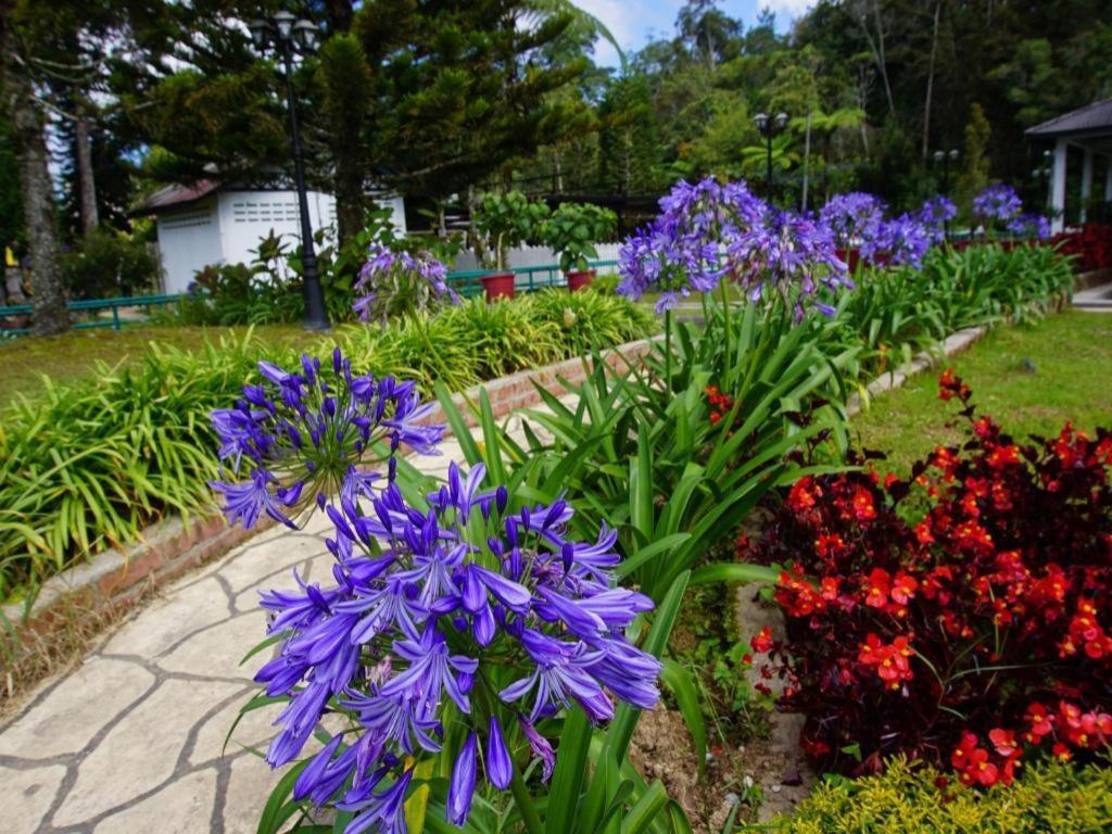 Spot On 89751 Bed Station Guest House Tanah Rata Exterior photo